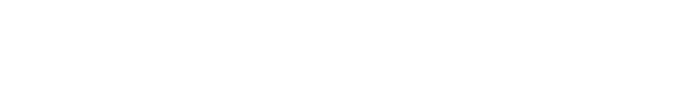 QuellSecure