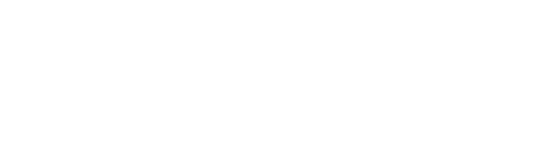 SEO Web Mechanics